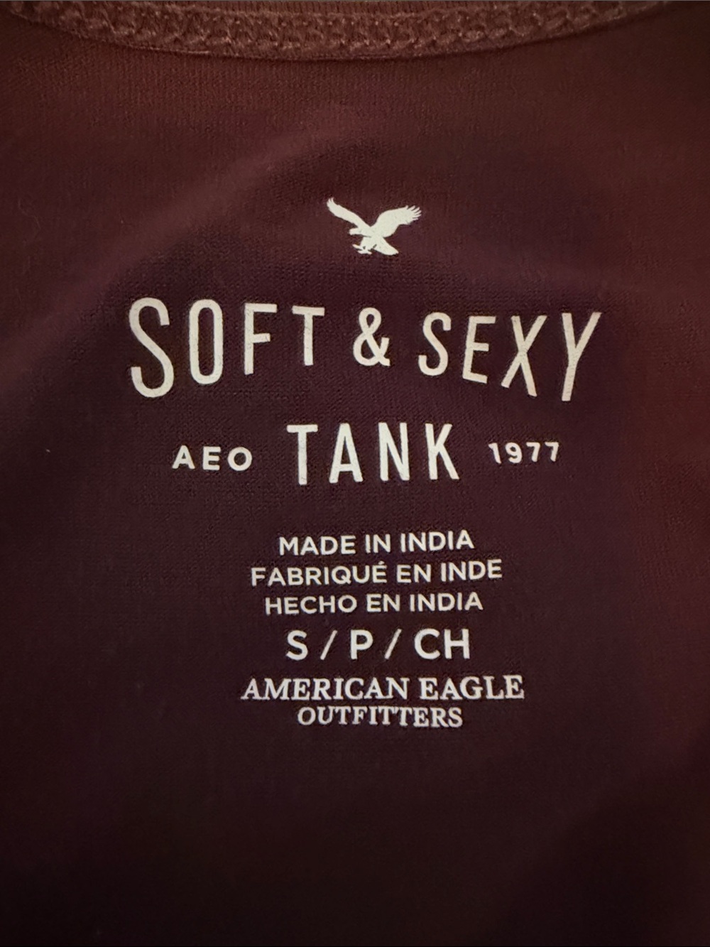 American Eagle Outfitters Burgundy Tank with Blue Floral Embroidery - Picture 2 of 5